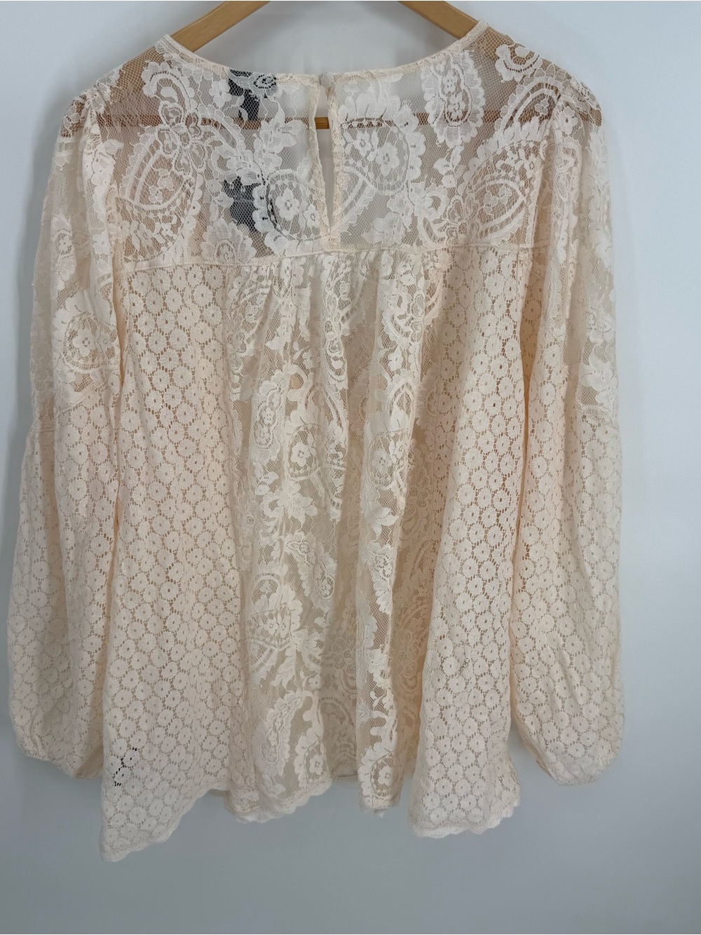 Torrid NWT Floral Lace V-Neck Long Sleeve Blouse Size 3X Semi-sheer Ivory Top - Picture 8 of 11